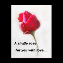 A single rose for you with love... postcards