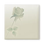 a single silent rose magnet