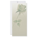 a single silent rose rack cards
