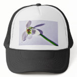 A Single Snowdrop On The Table hats