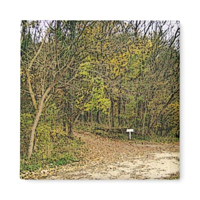 A Sketched Autumn's Day Hiking Trail Magnet by allthingsnatural