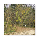 A Sketched Autumn's Day Hiking Trail Magnet