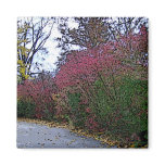 A Sketched Beautiful Autumn Day Magnets