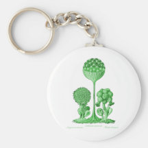 A Slime Mould Key Chain