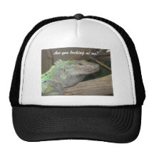 A smug lizard hat.  (Are you looking at me?)