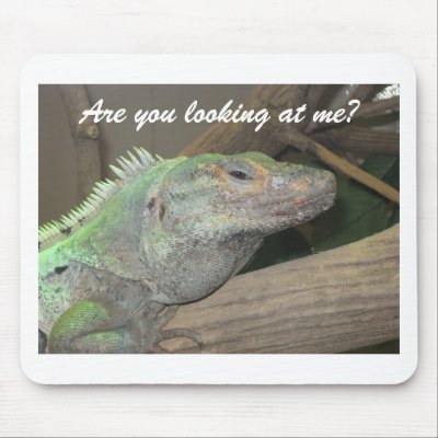 A smug lizard mousepad.  (Are you looking at me?) by SuperMoms
