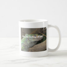 A smug lizard mug.  (Are you looking at me?)