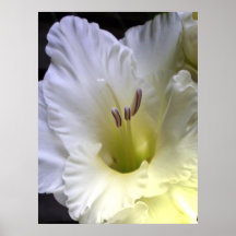 A soft moment print