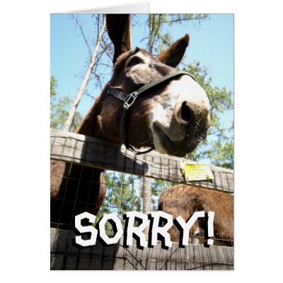 A Sorry Donkey Card by Cameraclicks