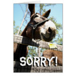 A Sorry Donkey Card