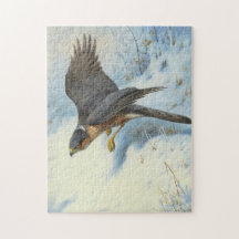 A Sparrow-hawk in Flight Puzzles