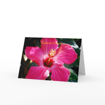 A special Friend Greeting Cards by joanngard