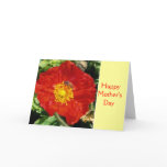 A Special Happy Mother's Day