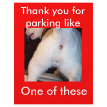A special message for a discouteous parker custom flyer