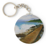 A Splash and a Walk keychains