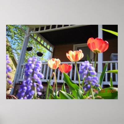 A Spring Garden Posters by minx267