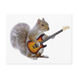 A Squirrel Playing Guitar