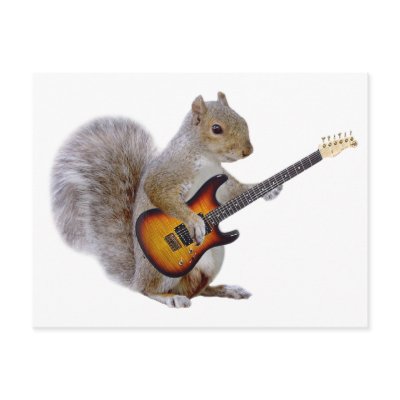 A Squirrel Playing Guitar by CrazyWorldForever