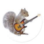 A Squirrel Playing Guitar