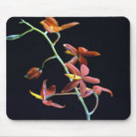 A Stem of Squigillum Mouse Pad