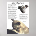 A Stray Dog's Prayer (alternate background colour) posters