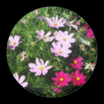 A Summer's Garden magnets