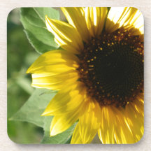 A Sunflower Drink Coaster