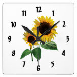 A Sunflower Mummy's Love