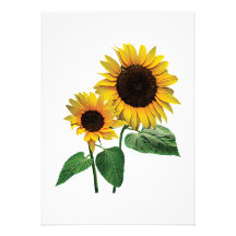 A Sunflower Mummy's Love Personalized Invitation