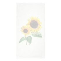 A Sunflower Mummy's Love