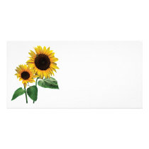 A Sunflower Mummy's Love