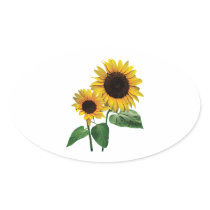 A Sunflower Mummy's Love
