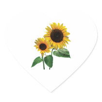A Sunflower Mummy's Love