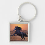 A sunset ocean horse keychain