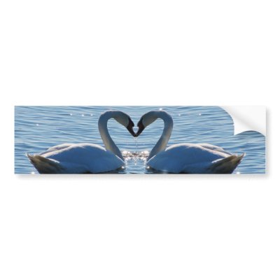 A Swan Heart Kiss, Reflections of Love by beverlytazangel