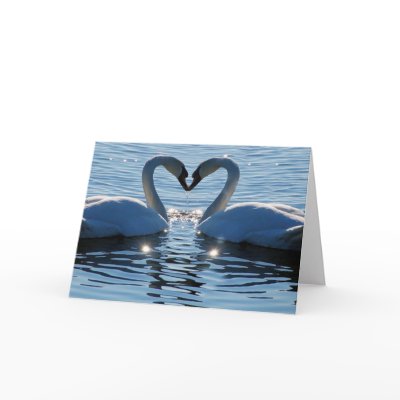 A Swan Heart Kiss, Reflections of Love by beverlytazangel