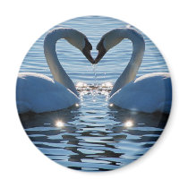 A Swan Heart Kiss, Reflections of Love