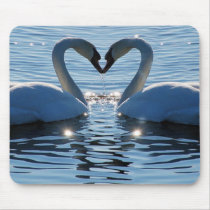 A Swan Heart Kiss, Reflections of Love