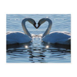 A Swan Heart Kiss, Reflections of Love postcards