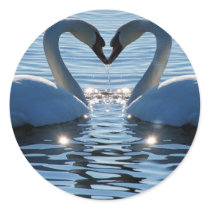 A Swan Heart Kiss, Reflections of Love