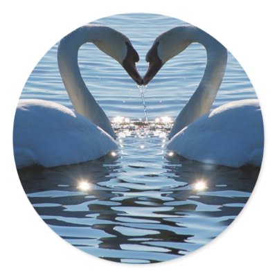 A Swan Heart Kiss, Reflections of Love by beverlytazangel