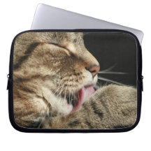 A tabby cat licking his paw. computer sleeves