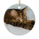 A Tabby Cat Stretching Felis Silvestris Catus Ornaments