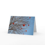 A Texan Christmas Tree cards