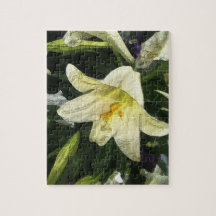 A Textured Lily Puzzle