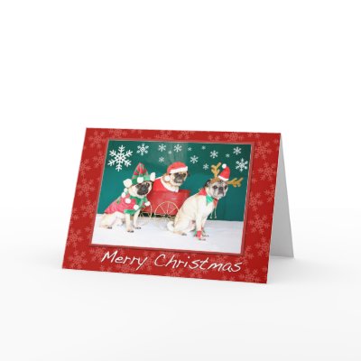 A Three Pug Christmas Card by letskyce