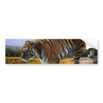 A Tiger loves water Bumper Stickers