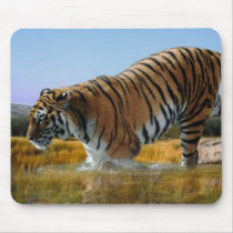 A Tiger loves water Mousepad