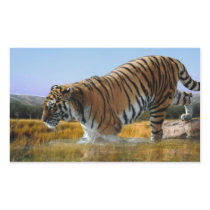 A Tiger loves water Rectangle Stickers