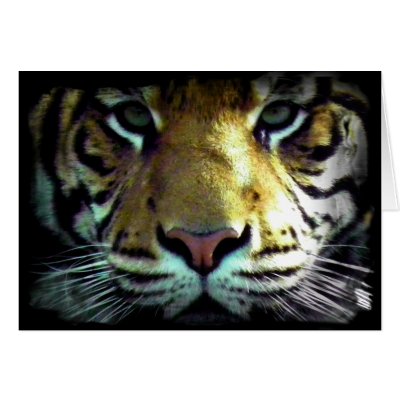 A Tigers eyes by Print_PAL